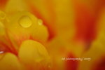 DSC_2768-