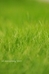 DSC_2853-