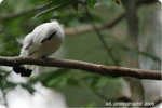 DSC_0261-