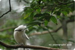 DSC_0262-
