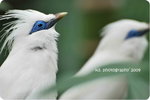DSC_0287-