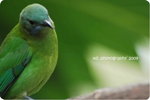 DSC_0322-