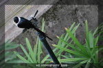 DSC_0394-