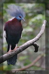 DSC_0428-