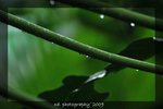 DSC_0480-