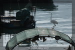 DSC_0644-