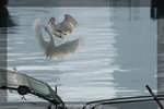 DSC_0649-