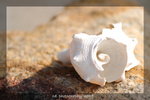 DSC_0685-