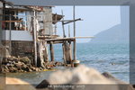 DSC_0686-