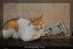 DSC_0761-