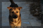 DSC_0811-