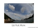 DSC_6011-