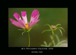 DSC_3099-