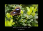 DSC_3105-