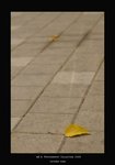 DSC_3107-