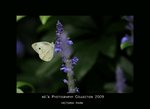 DSC_3109-