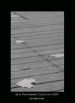 DSC_3120-