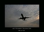 DSC_3177-