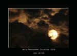 DSC_3234-