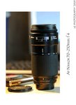 DSC_5034-