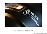 DSC_5038-
