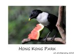 DSC_8893-