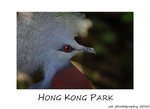 DSC_8895-