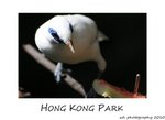 DSC_8928-
