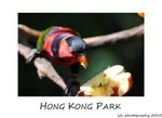 DSC_8938-