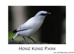 DSC_8946-