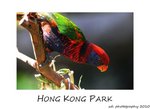 DSC_8949-