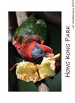DSC_8979-