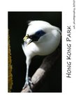 DSC_8990-
