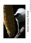 DSC_8992-