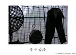 DSC_5515-