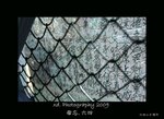 DSC_4086-
