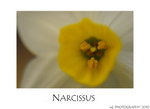 DSC_8310-