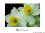 DSC_8314-