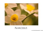 DSC_8320-