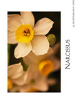 DSC_8330-