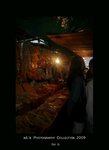 DSC_3536-