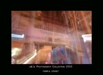 DSC_2712-