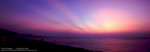 airport Panorama2