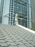 p0019