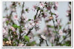 IMG_2504p_nEO_IMG