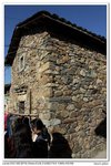 nEO_IMG_IMG_5040uy