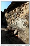 nEO_IMG_IMG_5054uy