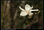 nEO_IMG_IMG_8124a