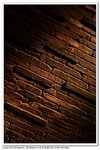 nEO_IMG_IMG_6179p