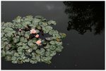 nEO_IMG_IMG_5270umr